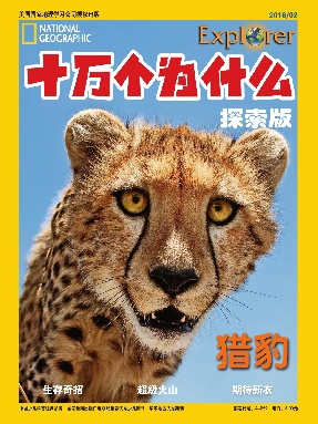 2016年2月刊.pdf