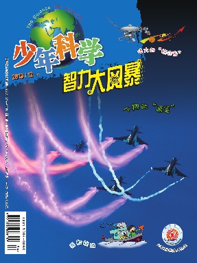 少年科学2013年第12期.pdf