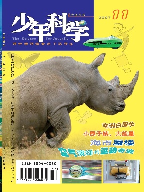 少年科学2007年第11期.pdf