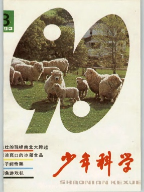 少年科学1990年第8期.pdf