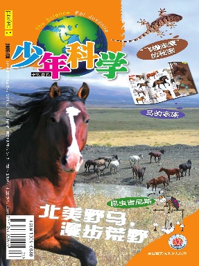 少年科学2009年第3期.pdf