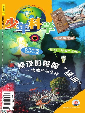少年科学2009年第7.8期.pdf