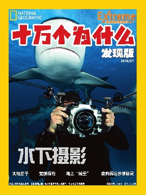 十万个为什么发现版2016年7月刊.pdf