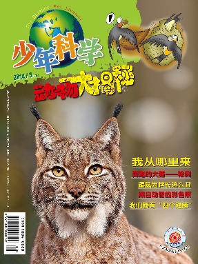 动物大揭秘2014年第3期.pdf