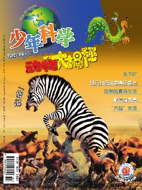 动物大揭秘2012年第7.8期.pdf