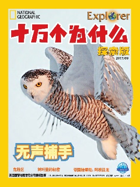 十万个为什么探索版2017年9月刊.pdf