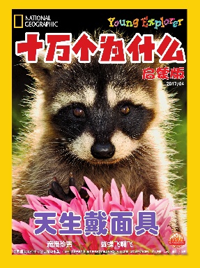 2017年4月刊.pdf