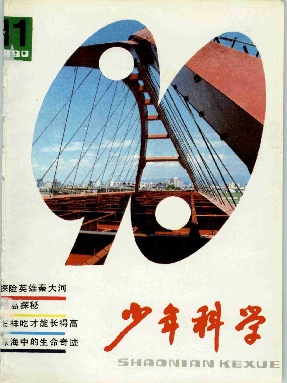 少年科学1990年第11期.pdf