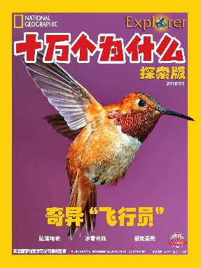 2018年1月刊.pdf