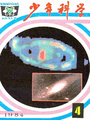 少年科学1984年第4期.pdf