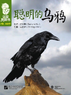 聪明的乌鸦.pdf