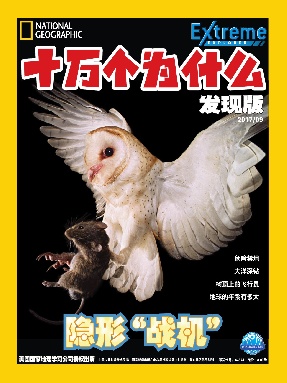 2017年9月刊.pdf