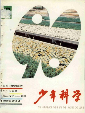 少年科学1990年第12期.pdf
