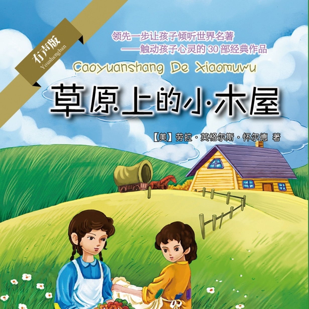草原上的小木屋.mp4