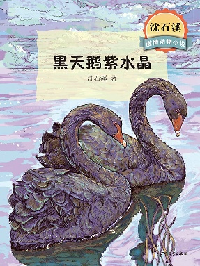 黑天鹅紫水晶.epub