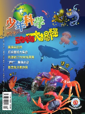 动物大揭秘2012年第10期.pdf