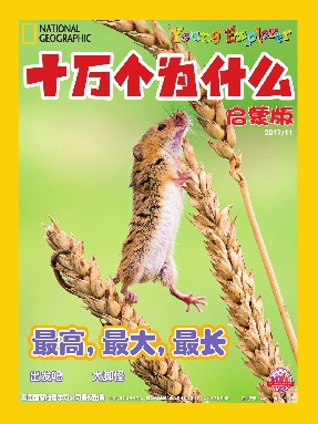 2017年11月刊.pdf