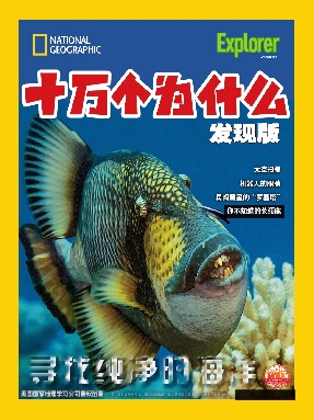 2019年1月刊.pdf