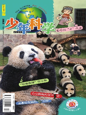 少年科学2010年第4期.pdf