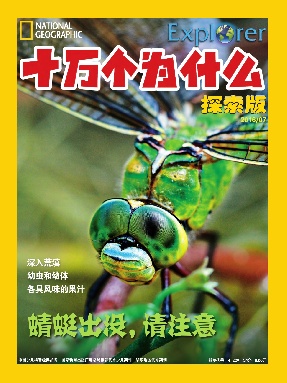 十万个为什么探索版2016年7月刊.pdf