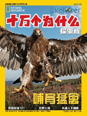 2016年6月刊.pdf