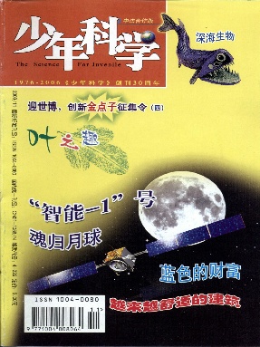 少年科学2006年第11期.pdf