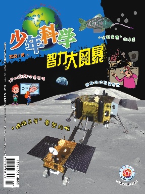 少年科学2013年第10期.pdf