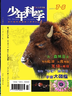 少年科学2007年第7.8期.pdf