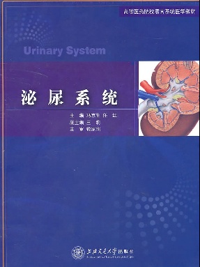 泌尿系统.pdf