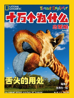十万个为什么启蒙版2016年8月刊.pdf
