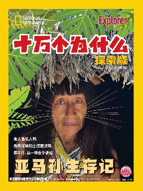 十万个为什么探索版2019年9月刊.pdf