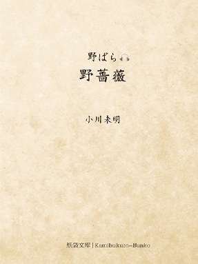 【有声点读】野蔷薇（日文版）.pdf