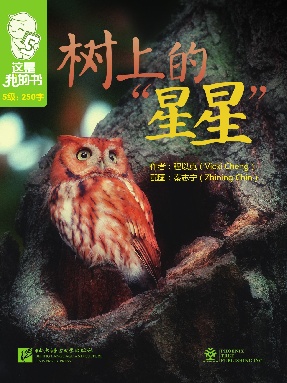 树上的星星.pdf