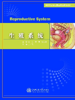 生殖系统.pdf