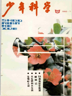 少年科学1992年第5期.pdf