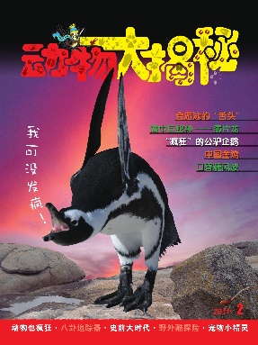 动物大揭秘2011年第2期.pdf