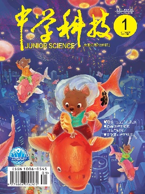 中学科技2020年第1期.pdf