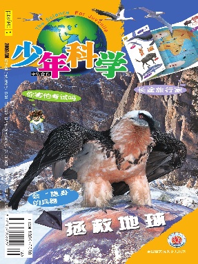 少年科学2009年第6期.pdf