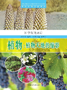 植物天地的缩影.pdf