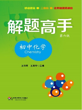 解题高手·初中化学.pdf