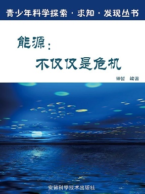 能源：不仅仅是危机.epub