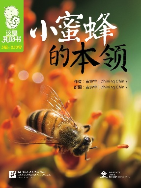 小蜜蜂的本领.pdf