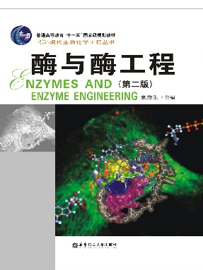 【电子书】酶与酶工程（第二版）.pdf