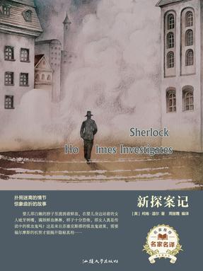 新探案记.pdf