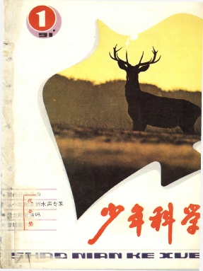 少年科学1991年第1期.pdf