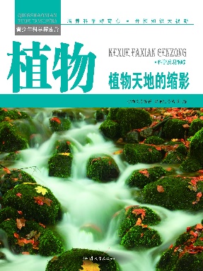 植物：植物天地的缩影.epub