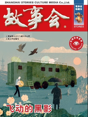 飞动的黑影.pdf