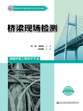 桥梁现场检测.pdf