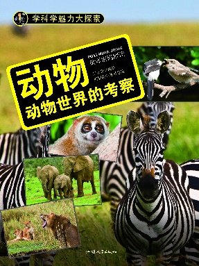 动物：动物世界的考察.epub