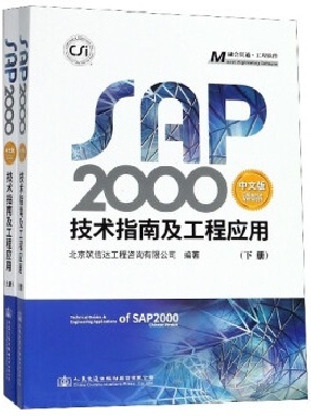 SAP2000中文版技术指南及工程应用.pdf